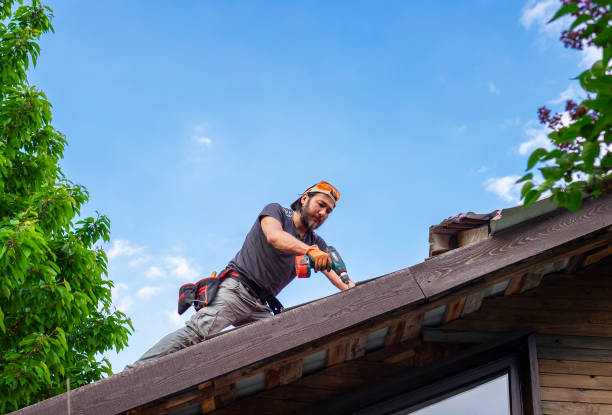 Best Sheet Metal Roofing  in Lexington, OK